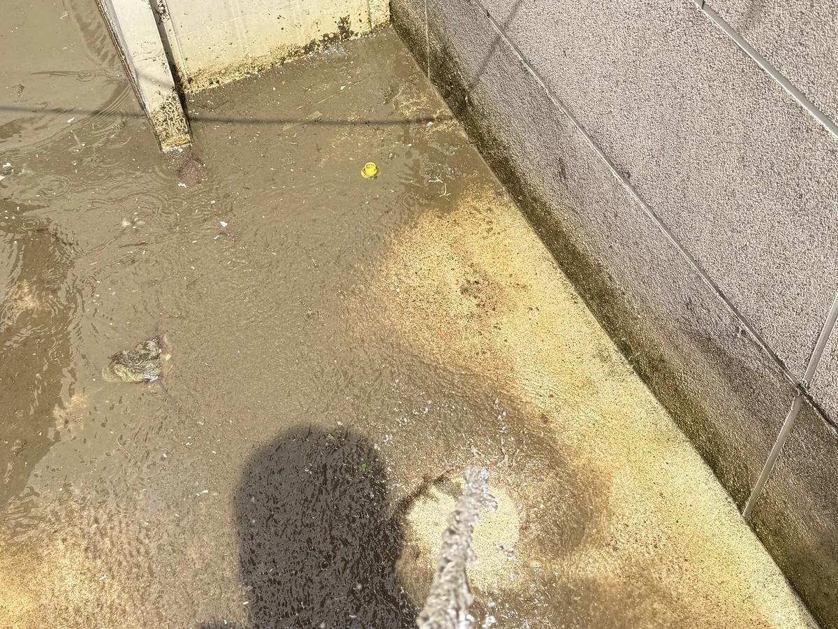 북구 구포동 배관 관리실·기계실 위생청소 사례 - 행진크린